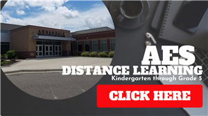 AES Distance Learning Click Here